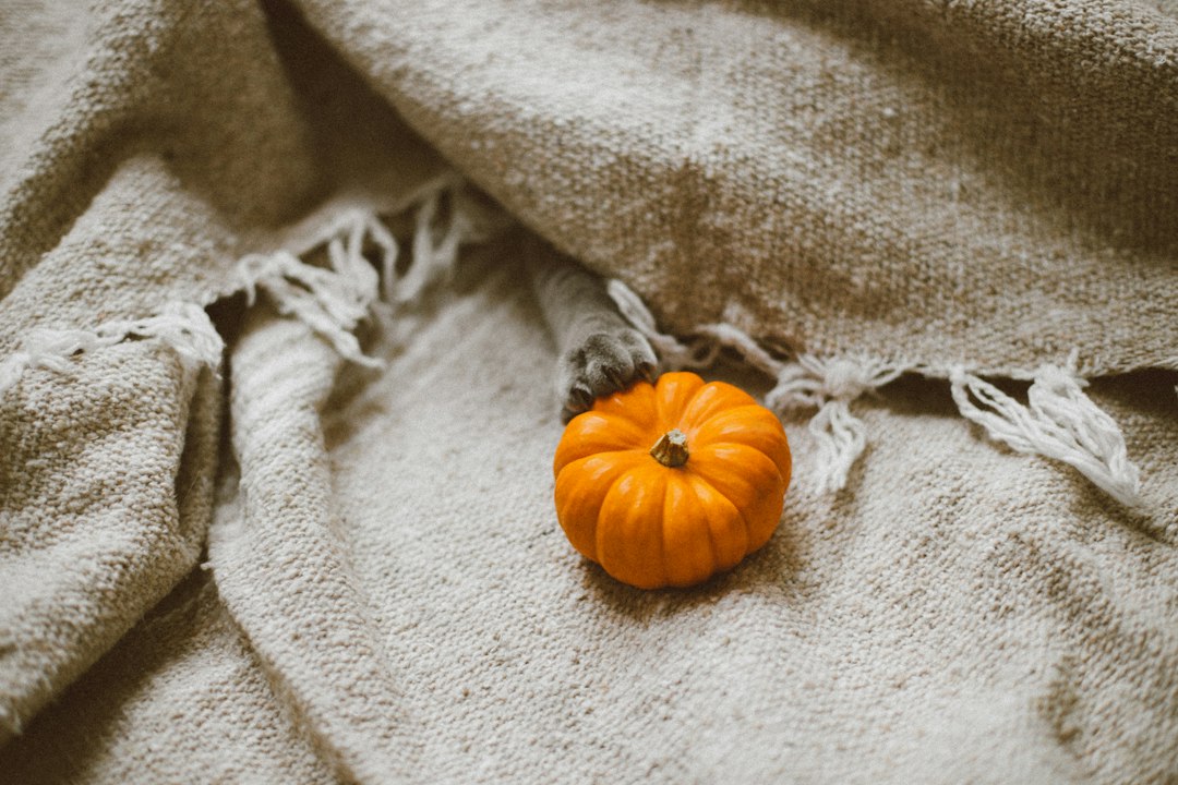 Knapzak met flanellen deken voor herfstwarmte. Knapzak met flanellen deken voor herfstwarmte.
