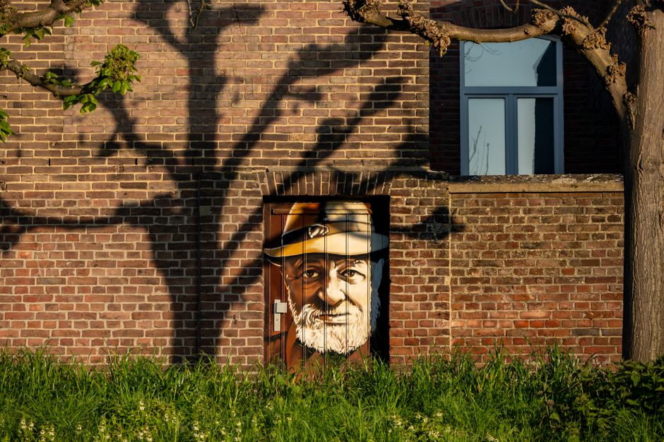 Kikker met zonnebril geniet van de natuur. Kikker met zonnebril geniet van de natuur.